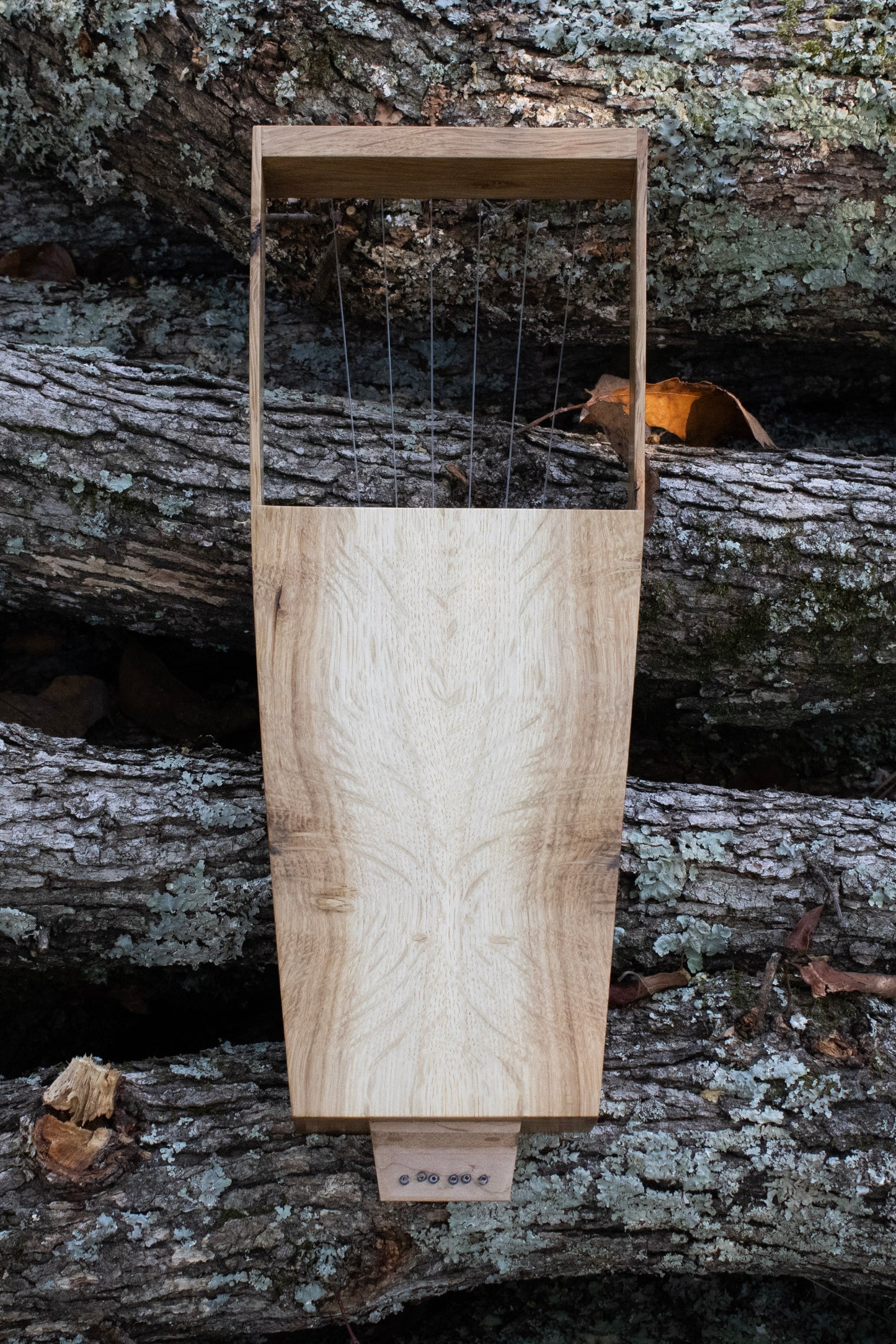 White Oak Soprano Lyre